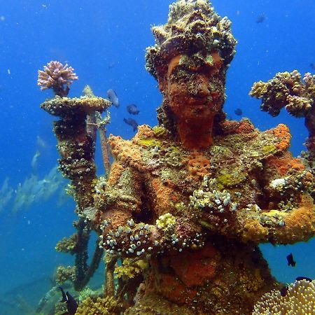 Biorock Homestay & Dive Center Pemuteran المظهر الخارجي الصورة