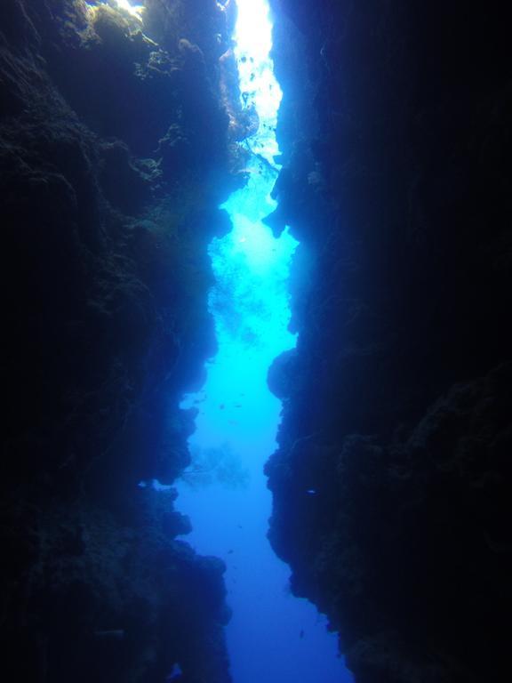 Biorock Homestay & Dive Center Pemuteran المظهر الخارجي الصورة