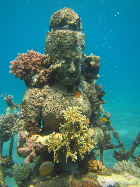 Biorock Homestay Pemuteran المظهر الخارجي الصورة