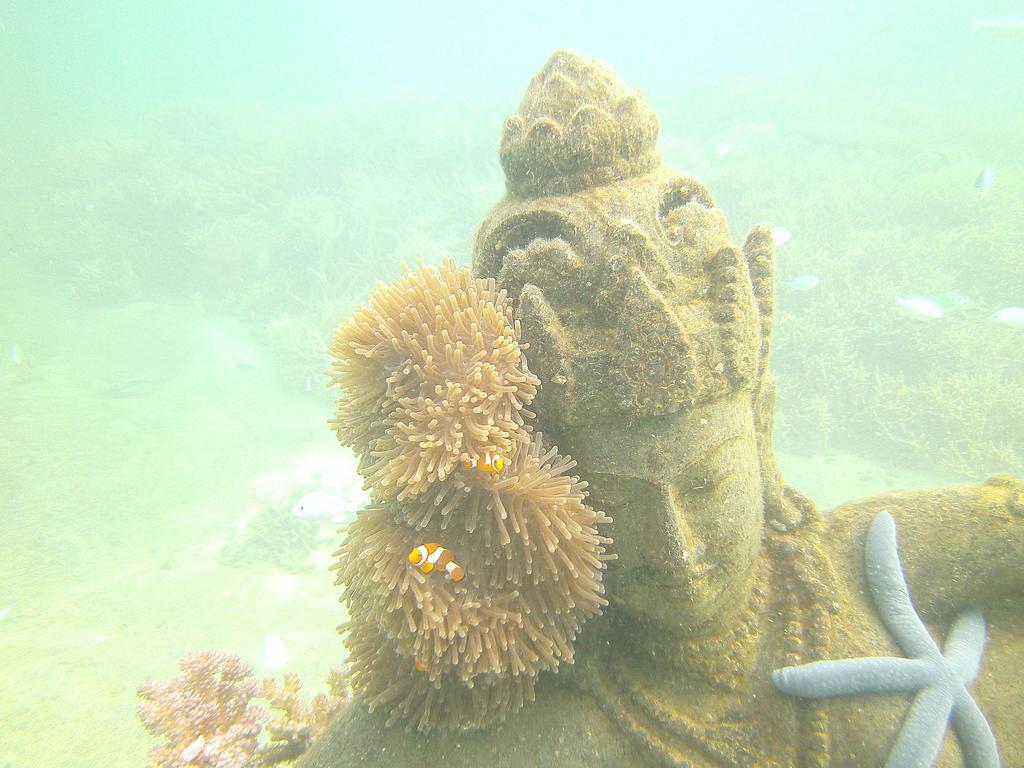 Biorock Homestay & Dive Center Pemuteran المظهر الخارجي الصورة