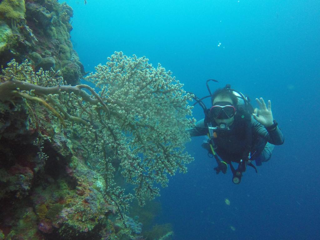 Biorock Homestay & Dive Center Pemuteran المظهر الخارجي الصورة