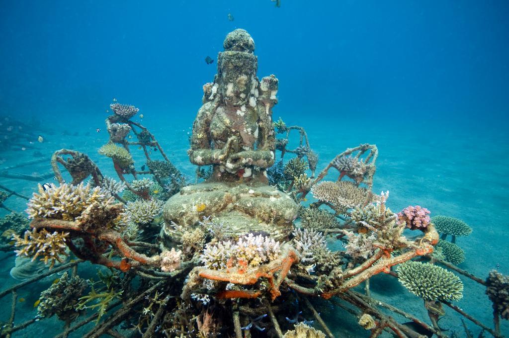 Biorock Homestay & Dive Center Pemuteran المظهر الخارجي الصورة