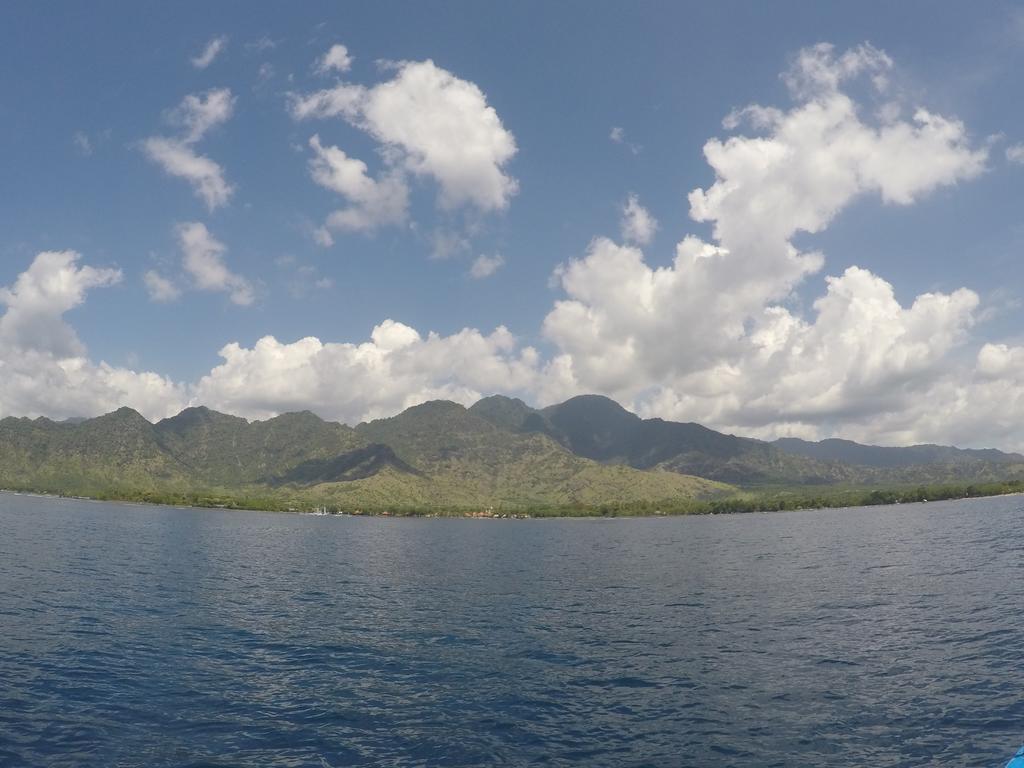 Biorock Homestay & Dive Center Pemuteran المظهر الخارجي الصورة