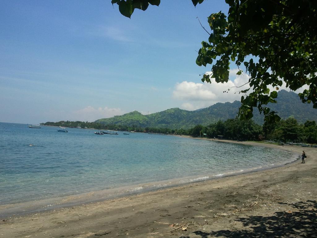 Biorock Homestay & Dive Center Pemuteran المظهر الخارجي الصورة