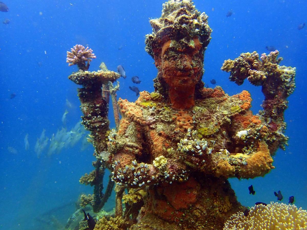 Biorock Homestay & Dive Center Pemuteran المظهر الخارجي الصورة